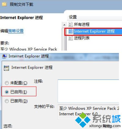 启用Internet Explorer进程