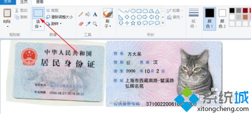win10系统合并两张身份证图片的步骤7.3