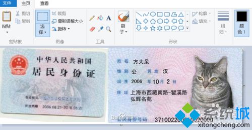 win10系统合并两张身份证图片的步骤7.5