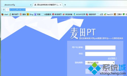 win10下火狐打不开ipv6网站的解决步骤6