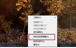 点击“启动任务管理器”