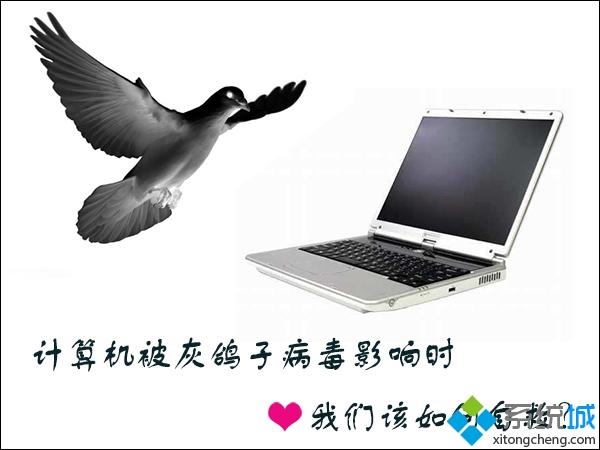 win10系统中了灰鸽子病毒怎么删除？删除灰鸽子病毒的方法