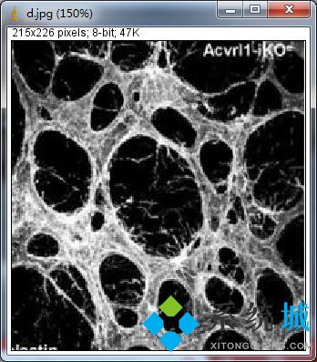 ImageJ（图像处理软件）下载