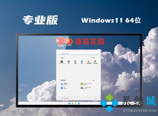 win11最新专业版下载 win11中文专业版镜像系统下载