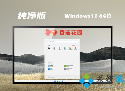 中文免费的win11纯净版系统下载 windows11 ghost精简纯净版镜像下载