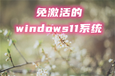 免激活的windows11系统