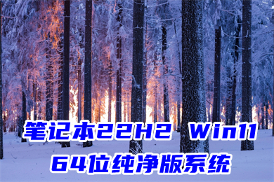 笔记本22H2 Win11 64位纯净版系统下载(华硕、宏碁、惠普、小米、戴尔)