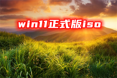 win11正式版iso