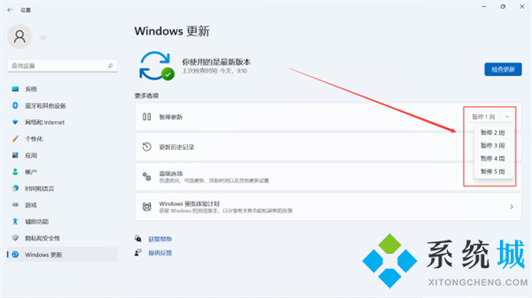 windows11怎么关闭自动更新 win11设置永不更新的方法