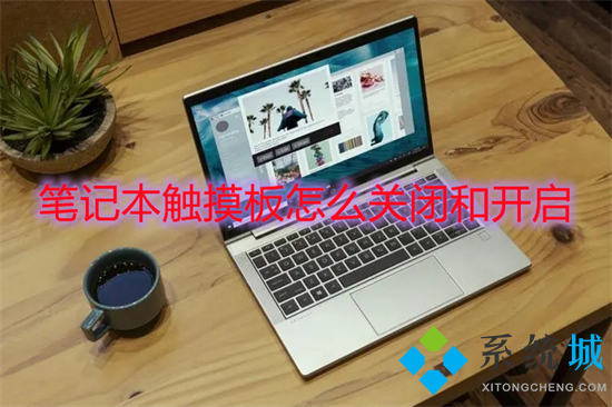 笔记本触摸板怎么关闭和开启 win10触摸板怎么开启