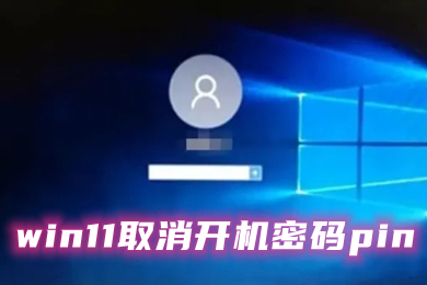 win11取消开机密码pin