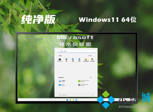 技术员联盟win11中文纯净版系统下载 windows11系统最新镜像文件下载