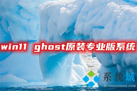 win11 ghost原装专业版系统