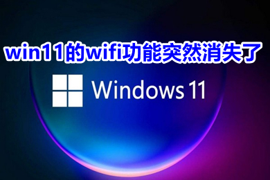 win11的wifi功能突然消失了 win11的wifi功能如何打开