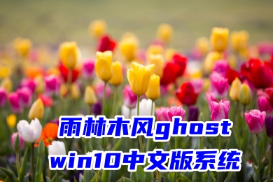 雨林木风ghost win10中文版系统