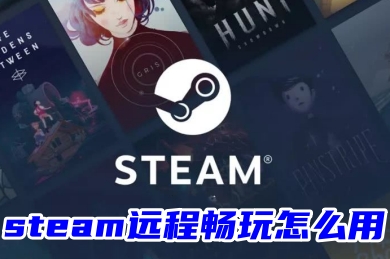 steam远程畅玩怎么用