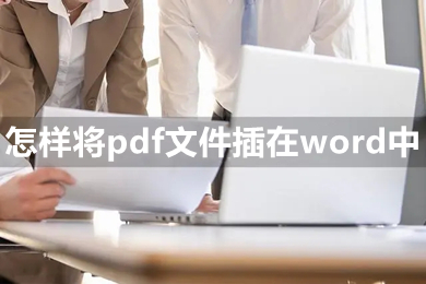 怎样将pdf文件插在word中 如何将pdf内容插到word中