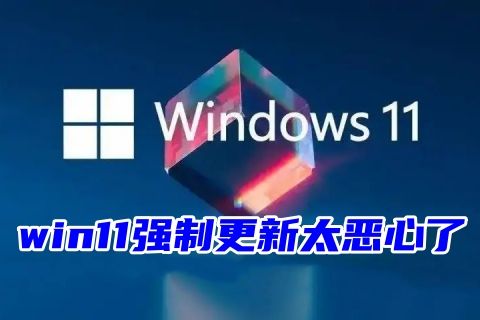 win11强制更新太恶心了 win11设置永不更新永久关闭的方法