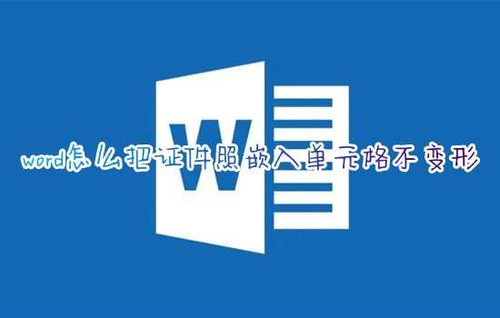 word怎么把证件照嵌入单元格不变形 word表格怎么插证件照正好合适