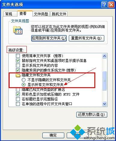 “显示所有文件和文件夹选项”