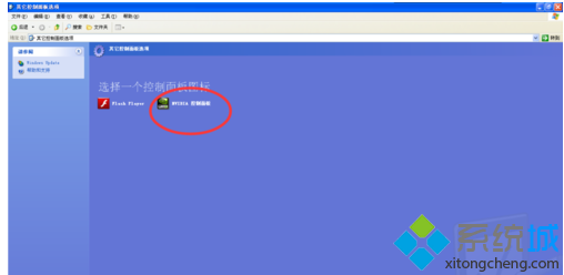 “NVIDIA控制面板”选项