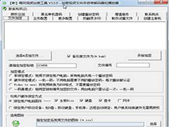 新飓风视频加密工具V12.5破解版