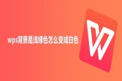 wps背景是浅绿色怎么变成白色 把wps的绿色背景改成白色的方法