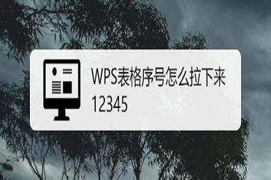 wps序号怎么拉下来12345 wps序号下拉递增的方法