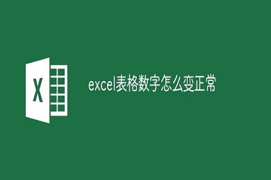 excel表格数字怎么变成正常数字 excel表格数字正常显示的方法