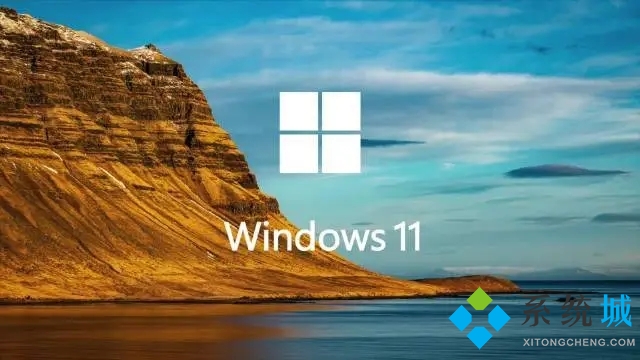 win11怎么添加网络 win11添加新网络步骤介绍