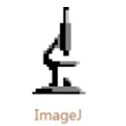 ImageJ(图像处理软件)