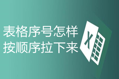 表格序号怎样按顺序拉下来 表格自动排序123456的设置方法