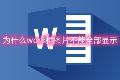 为什么word插图片不能全部显示 word文档里的图片显示不完整