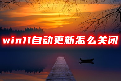 win11自动更新怎么关闭 win11自动更新有必要开吗