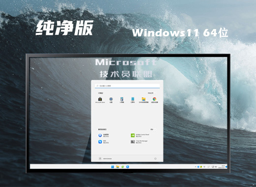 技术员联盟 ISO Win11 64位 无忧纯净版系统 v2022.07