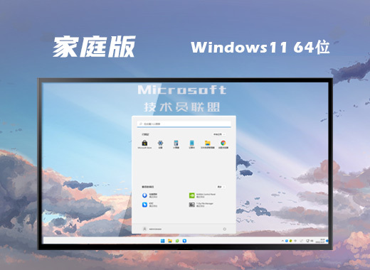 技术员联盟 ISO Win11 64位 完美家庭版系统 v2022.06