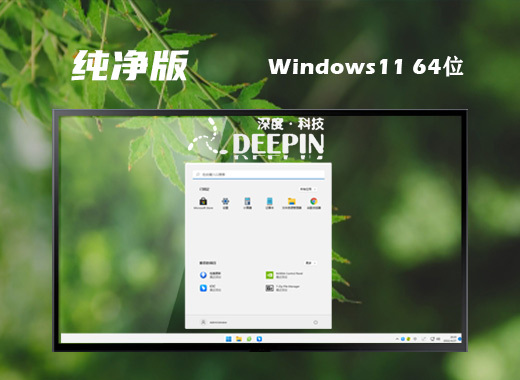 深度技术 22H2 Win11 64位 纯净预览版系统 v2022.06