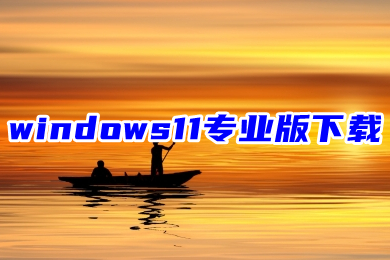 windows11专业版下载 微软官网win11专业版镜像下载地址