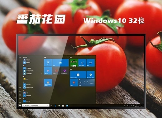 番茄花园 ghost win10 32位 标准专业版系统 v2022.09