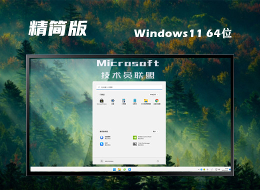 技术员联盟 Ghost Win11 64位 无忧精简版系统 v2022.09