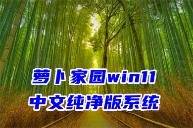 萝卜家园win11中文纯净版系统下载 win11官网最新镜像文件下载