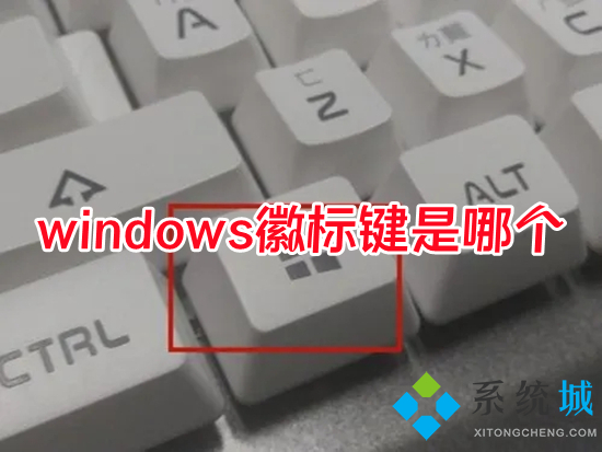 windows徽标键是哪个 windows徽标键有什么功能