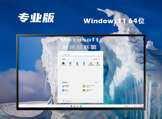 技术员联盟 Ghost Win11 64位 免费专业版系统 v2022.10