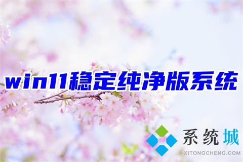 win11稳定纯净版系统下载 windows11微软精简版镜像文件下载