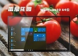 番茄花园 Ghost win10 64位 标准改良版系统 v2023.07