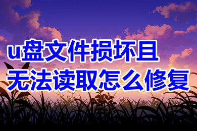 u盘文件损坏且无法读取怎么修复 u盘文件损坏打不开怎么修复