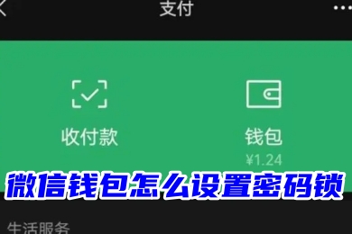 微信钱包怎么设置密码锁 微信钱包页面怎么加密
